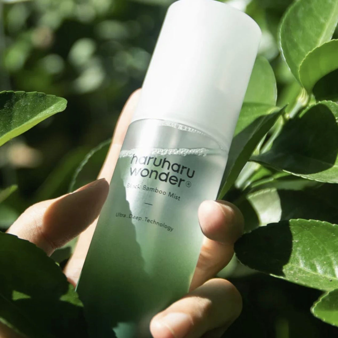Brume hydratante au bambou noir - Haruharu Wonder